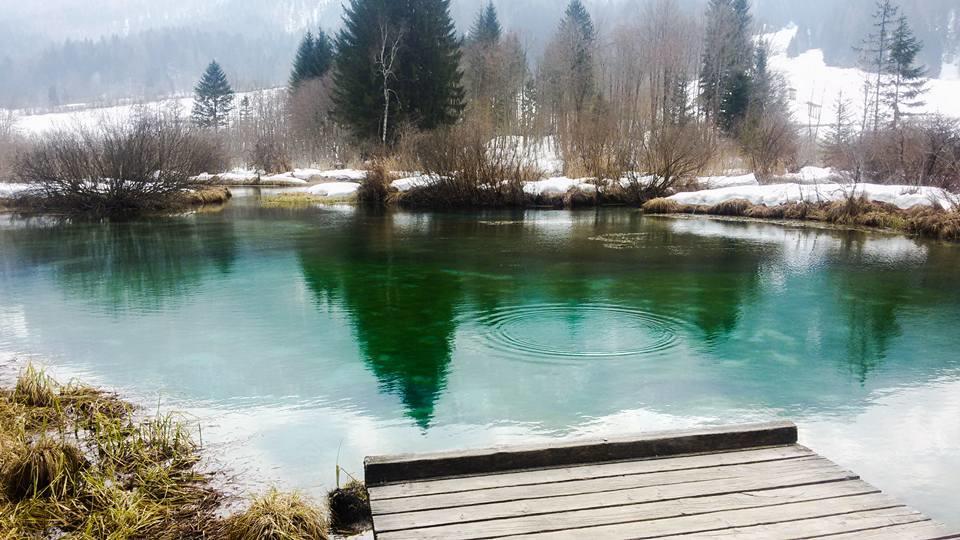 Alpine Spot Daire Kranjska Gora Dış mekan fotoğraf