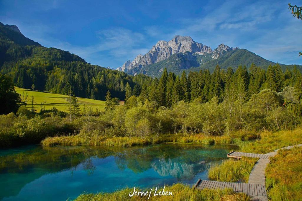 Alpine Spot Daire Kranjska Gora Dış mekan fotoğraf
