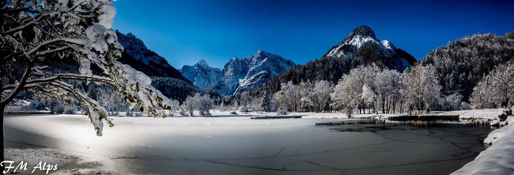 Alpine Spot Daire Kranjska Gora Dış mekan fotoğraf