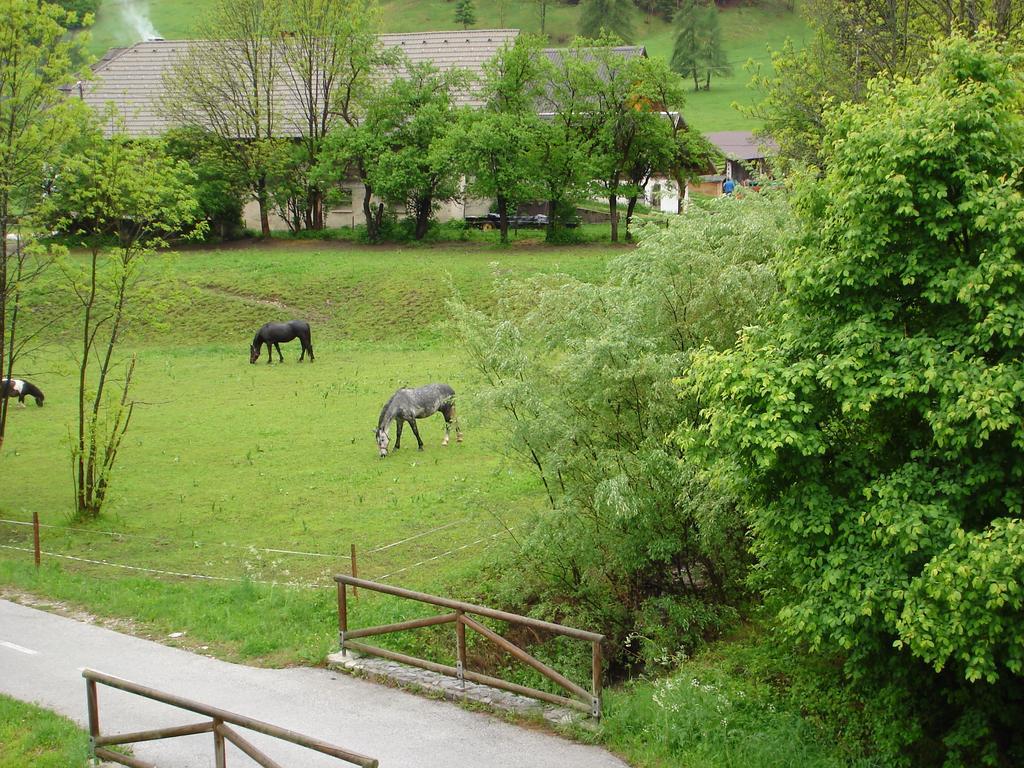 Alpine Spot Daire Kranjska Gora Dış mekan fotoğraf